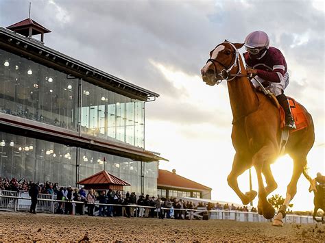 Bet on Fair Grounds .